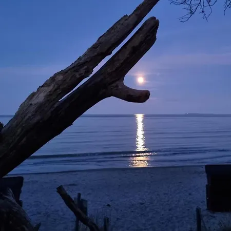 Widar - Odins Blick 2 - Privatstrand, Sauna, Garten Апартаменты Лоббе