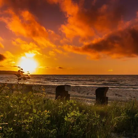 Widar - Odins Blick 2 - Privatstrand, Sauna, Garten