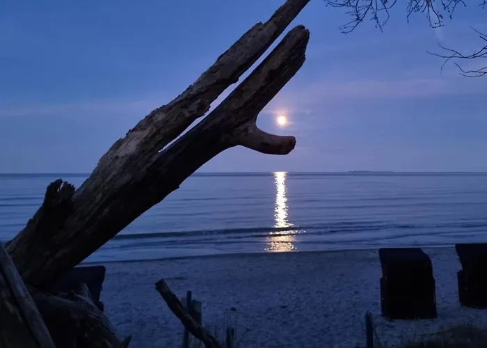 Widar - Odins Blick 2 - Privatstrand, Sauna, Garten Daire Lobbe