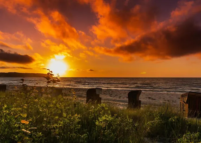 Widar - Odins Blick 2 - Privatstrand, Sauna, Garten